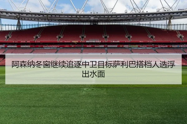 阿森纳冬窗继续追逐中卫目标萨利巴搭档人选浮出水面